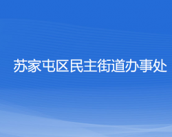 沈阳市苏家屯区民主街道办事处