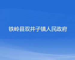 铁岭县双井子镇人民政府默认相册
