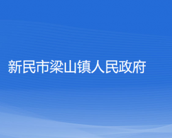 新民市梁山镇人民政府