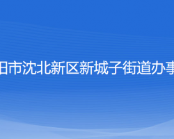 沈阳市沈北新区新城子街道办事处