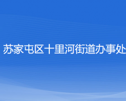 沈阳市苏家屯区十里河街道办事处