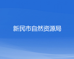 新民市自然资源局