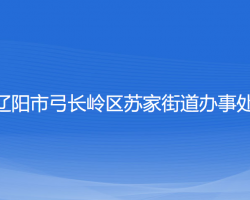 辽阳市弓长岭区苏家街道办事处