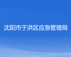 沈阳市于洪区应急管理局