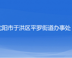 沈阳市于洪区平罗街道办事处