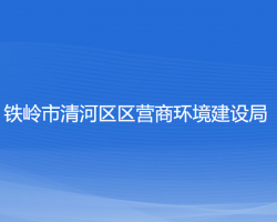 铁岭市清河区区营商环境建设局