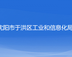 沈阳市于洪区工业和信息化