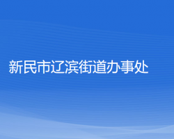 新民市辽滨街道办事处