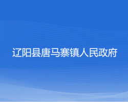 辽阳县唐马寨镇人民政府政务服务网