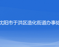 沈阳市于洪区造化街道办事处默认相册