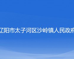 辽阳市太子河区沙岭镇人民政府