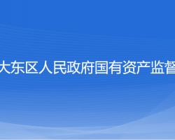 沈阳市大东区人民政府国有