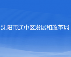 沈阳市辽中区发展和改革局