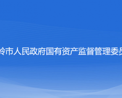 铁岭市人民政府国有资产监