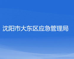 沈阳市大东区应急管理局