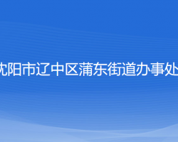 沈阳市辽中区蒲东街道办事处