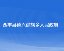 西丰县德兴满族乡人民政府政务服务网