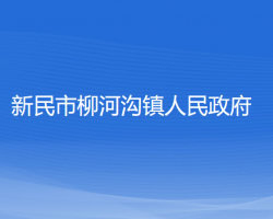 新民市柳河沟镇人民政府