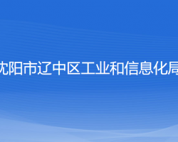 沈阳市辽中区工业和信息化局