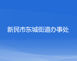 新民市东城街道办事处