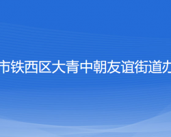 沈阳市铁西区大青中朝友谊街道办事处