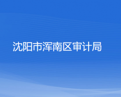 沈阳市浑南区审计局