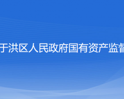 沈阳市于洪区人民政府国有