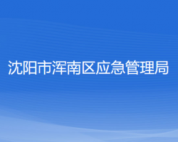 沈阳市浑南区应急管理局