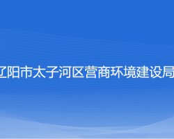 辽阳市太子河区营商环境建设局