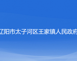 辽阳市太子河区王家镇人民政府