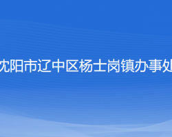 沈阳市辽中区杨士岗镇办事处