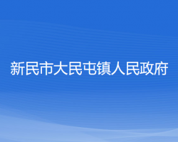 新民市大民屯镇人民政府