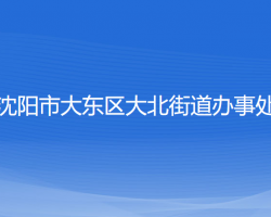 沈阳市大东区大北街道办事处