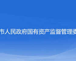 沈阳市人民政府国有资产监