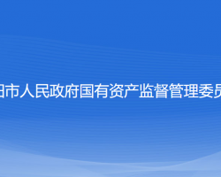 朝阳市人民政府国有资产监