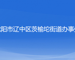 沈阳市辽中区茨榆坨街道办事处