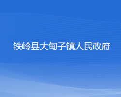 铁岭县大甸子镇人民政府默认相册
