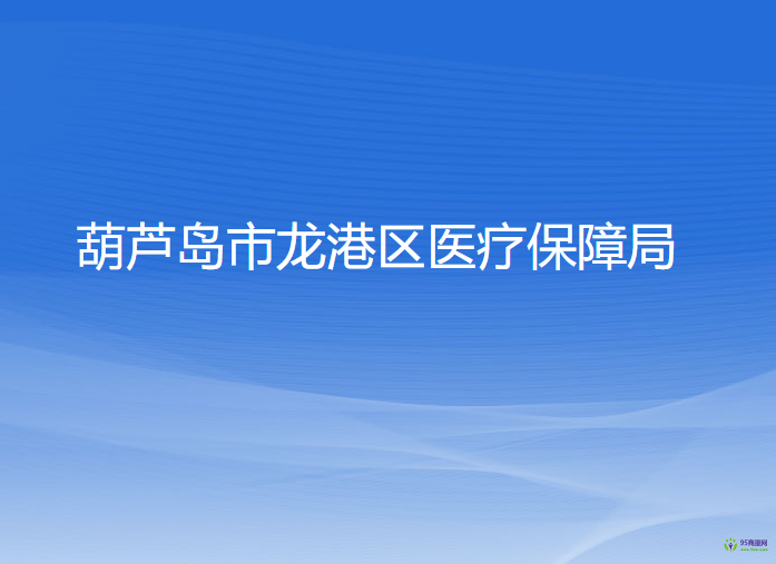 葫芦岛市龙港区医疗保障局