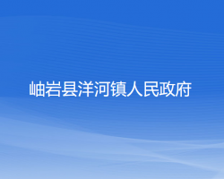 岫岩县洋河镇人民政府政务服务网