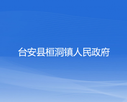 台安县桓洞镇人民政府"