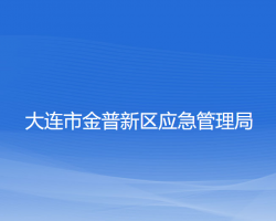 大连市金普新区应急管理局