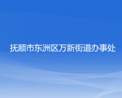 抚顺市东洲区万新街道办事处