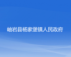 岫岩县杨家堡镇人民政府政务服务网