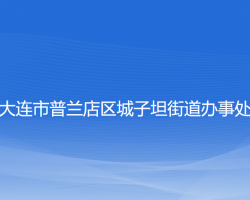 大连市普兰店区城子坦街道办事处