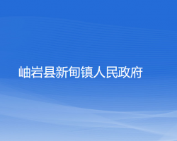 岫岩县新甸镇人民政府政务服务网