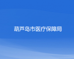 葫芦岛市医疗保障局