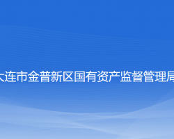 大连市金普新区国有资产监