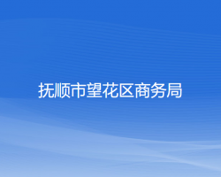 抚顺市望花区商务局默认相册