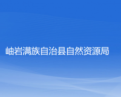 岫岩满族自治县自然资源局