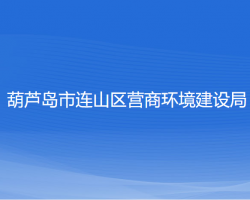 葫芦岛市连山区营商环境建设局